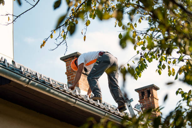 Best Metal Roofing Installation  in Winthrop, IA