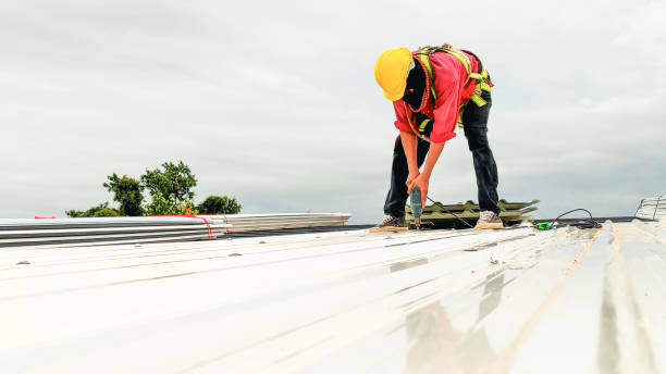Best Roof Maintenance and Cleaning  in Winthrop, IA