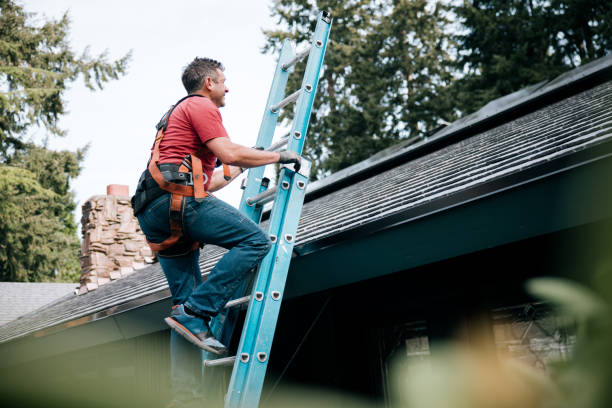 Best Storm Damage Roof Repair  in Winthrop, IA
