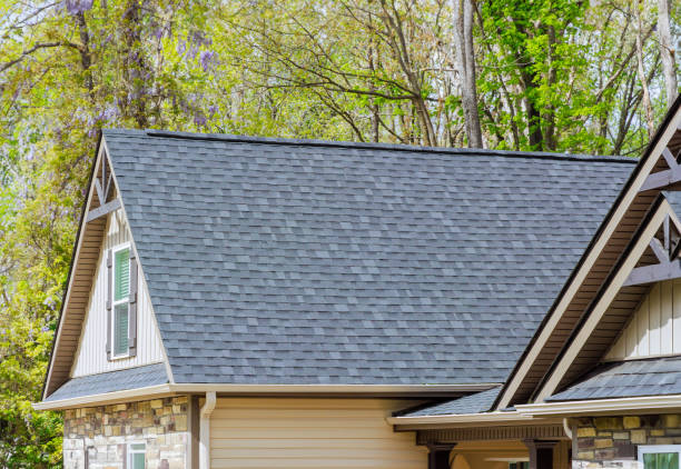 Best Solar Panel Roofing Installation  in Winthrop, IA