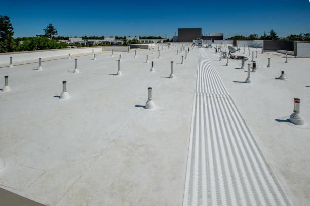 Best Wood Shake Roofing  in Winthrop, IA